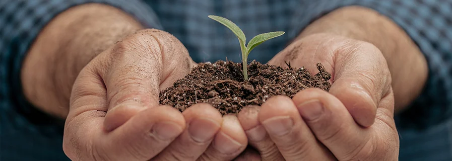 Carbon Farming